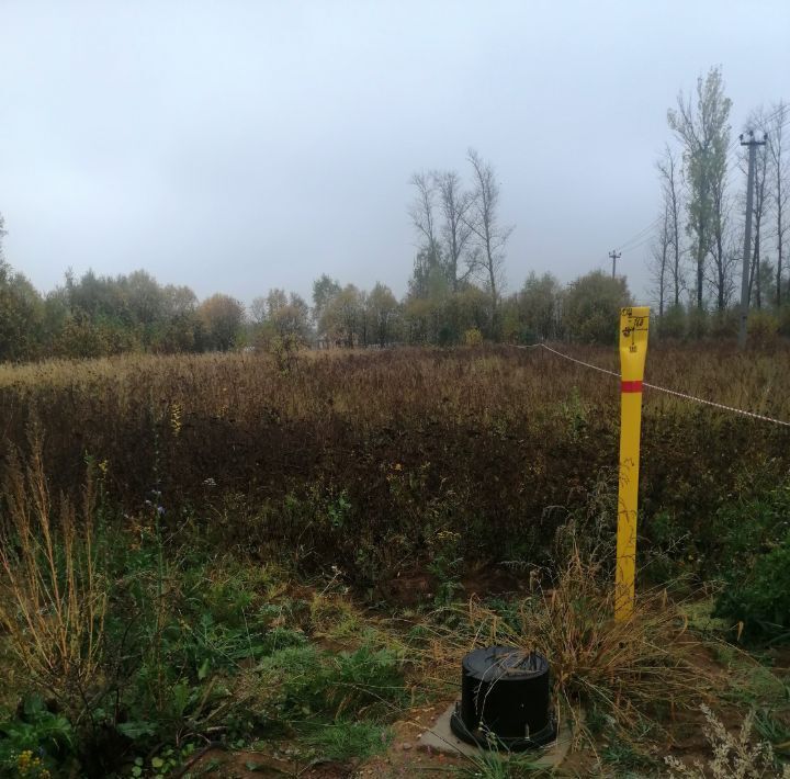 земля р-н Заокский рп Заокский ул Осенняя городское поселение Заокский фото 3