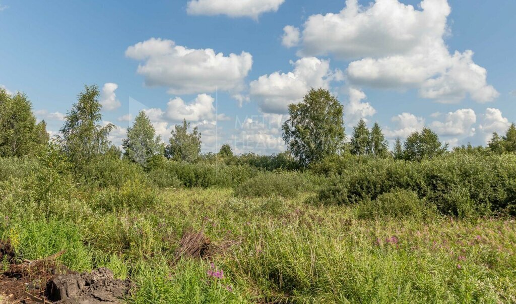 земля г Тюмень снт Поле чудес Черёмуховый переулок, 320 фото 13