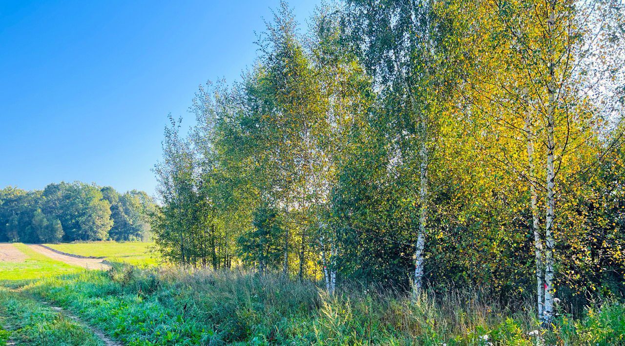 земля городской округ Дмитровский д Ассаурово фото 3