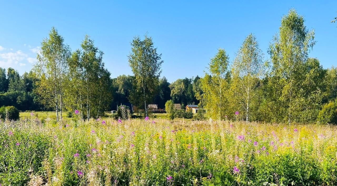 земля городской округ Дмитровский Форест Клаб кп, 23 фото 10