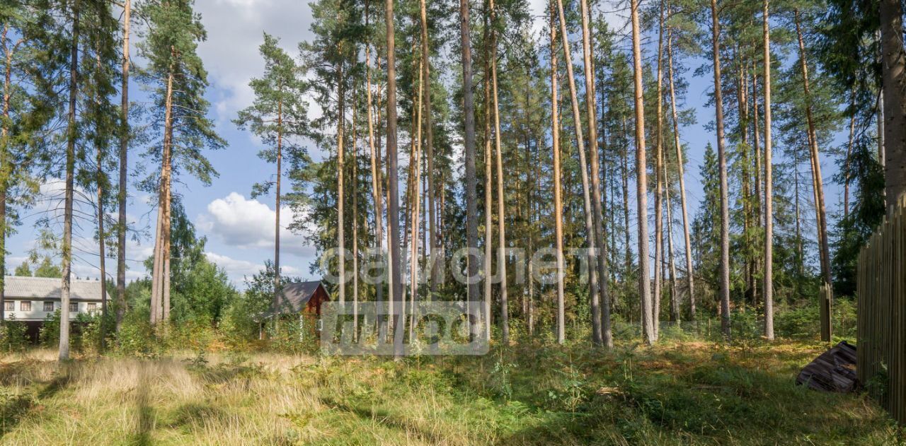 земля р-н Приозерский п Кузнечное Мельниковское сельское поселение, Берёзовая улица фото 1