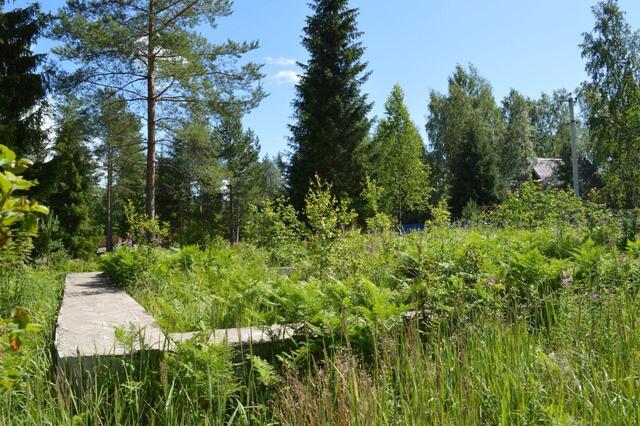 Куйвозовское сельское поселение, Центральная улица фото