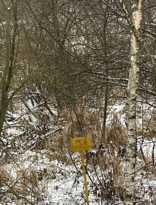 земля городской округ Дмитровский с Ивановское 54 фото 3