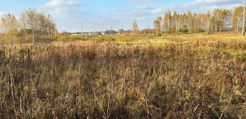 земля городской округ Ступино с Ивановское фото 5