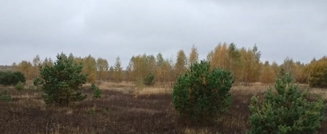 офис городской округ Озерский д Свиридоново Коломна городской округ фото 1