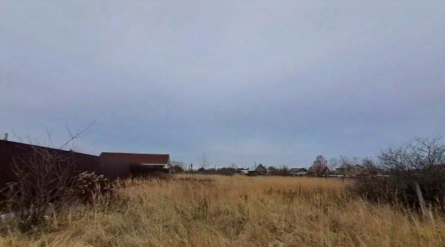 офис городской округ Орехово-Зуевский д Нажицы фото 2