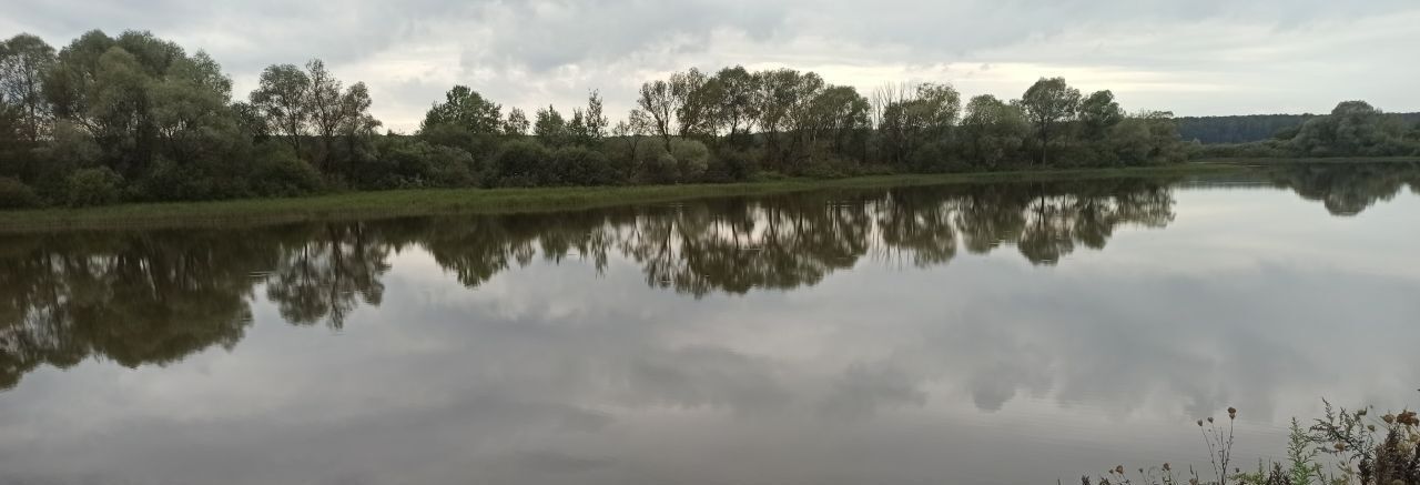 земля направление Павелецкое (юго-восток) ш Каширское городской округ Домодедово фото 10