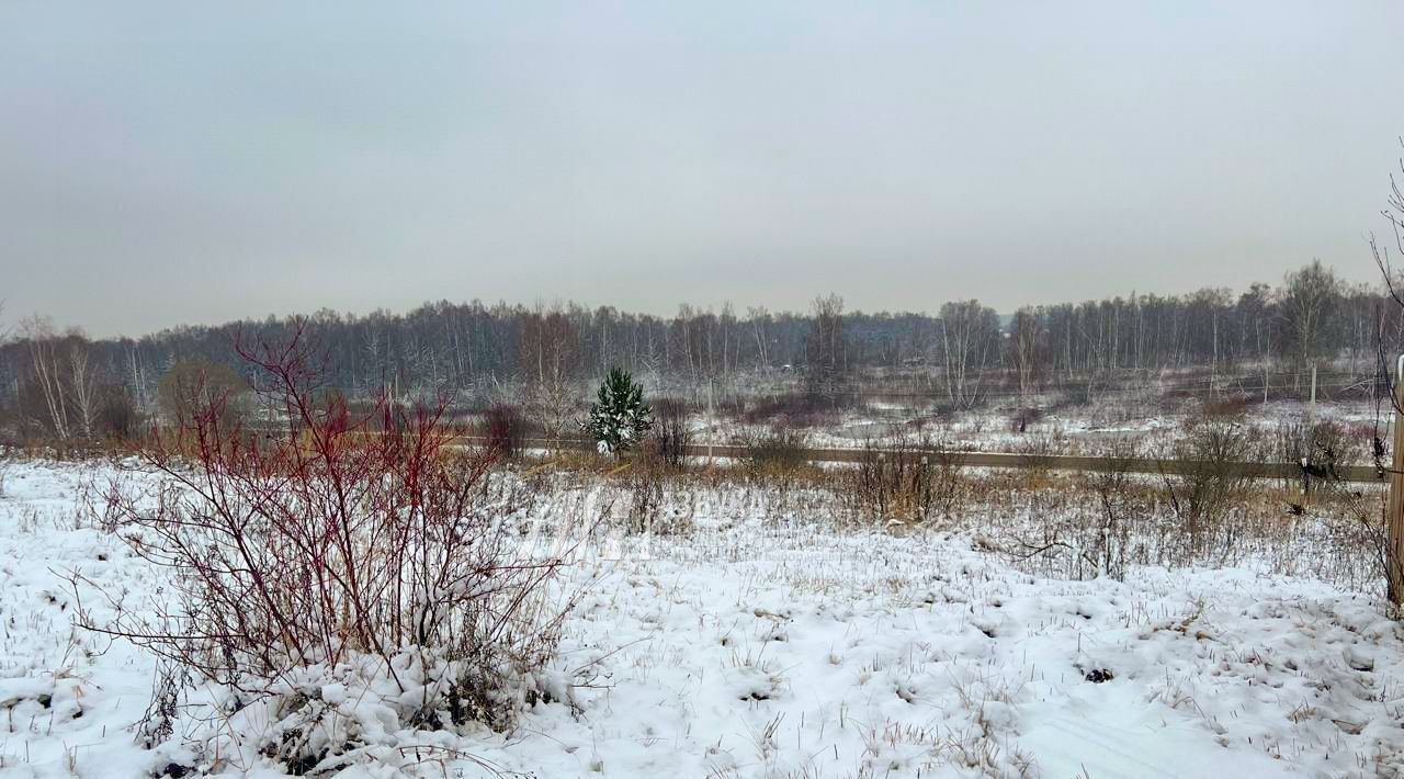 земля городской округ Мытищи д Рождественно ул Центральная фото 5