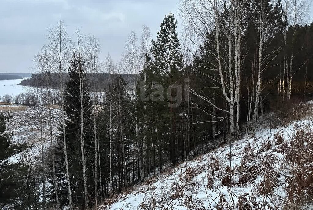 земля р-н Тавдинский д Белоярка фото 4