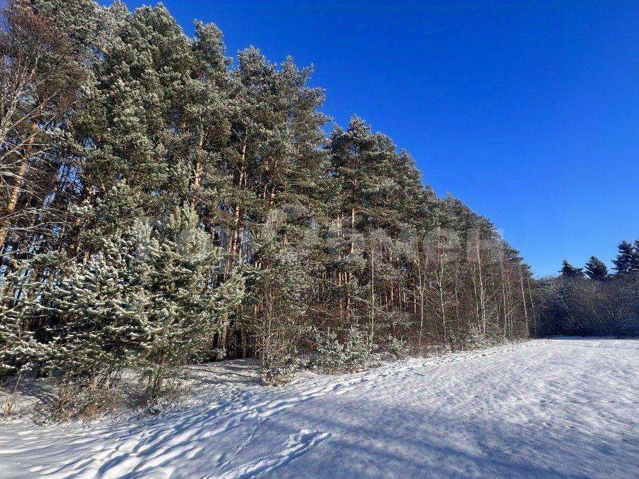 дом городской округ Можайский п Уваровка Троица, 15 фото 11