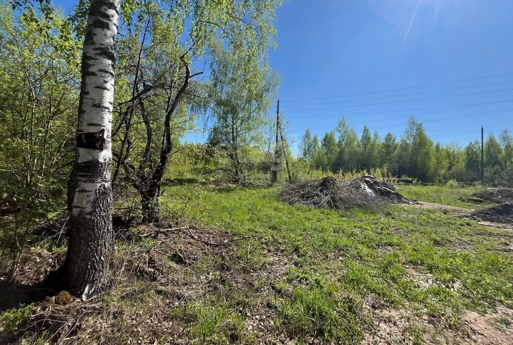 земля р-н Богородский сельский посёлок Центральный фото 13