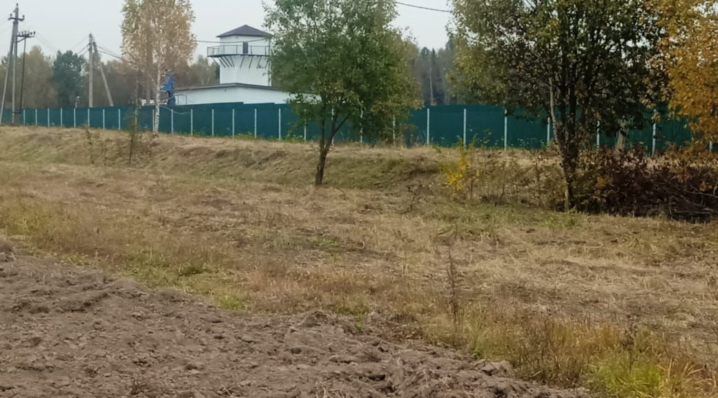 земля городской округ Пушкинский д Васюково фото 1