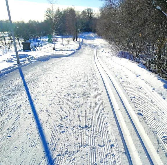 квартира г Магнитогорск р-н Правобережный ул Лесопарковая 93/4 фото 12