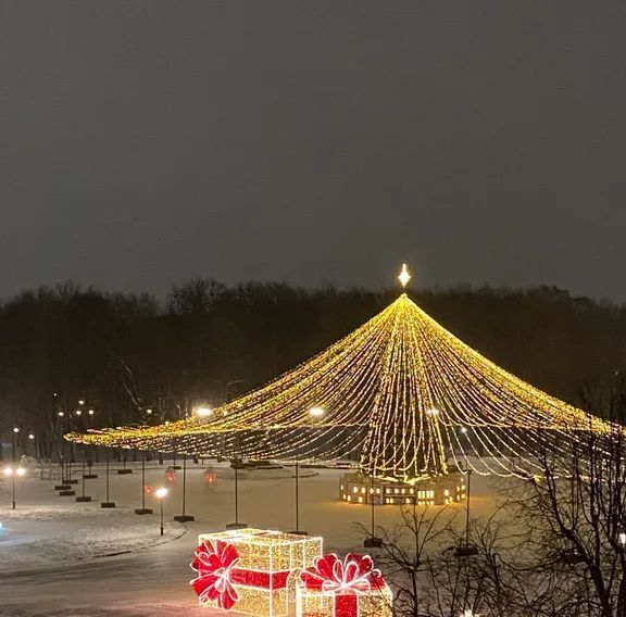 квартира г Великий Новгород пер Юннатов 9 фото 28