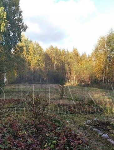 Советское городское поселение, Выборгский район, Спутник-2 СНТ фото