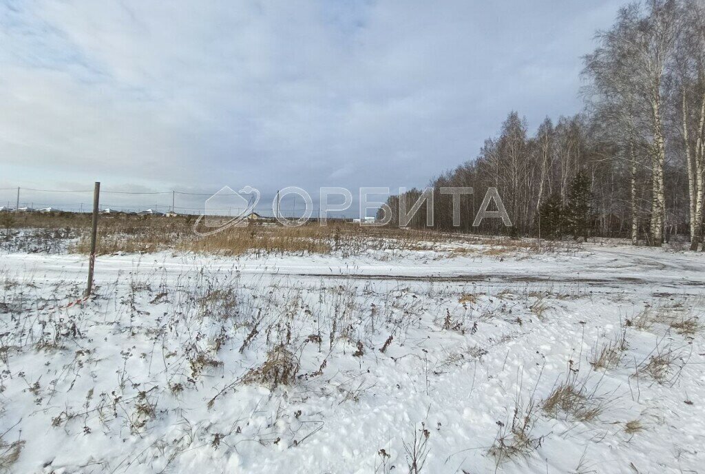 земля р-н Тугулымский с Мальцево ул Декабристов 14 фото 4