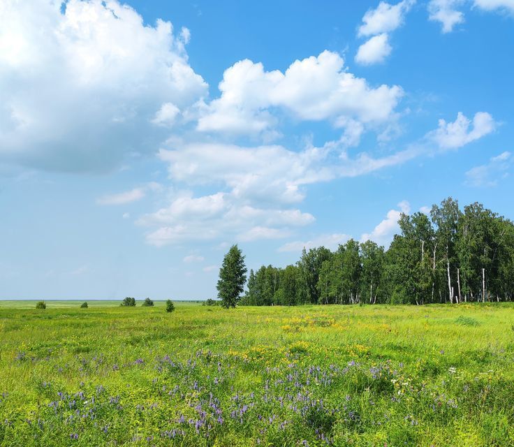 земля городской округ Можайский фото 1