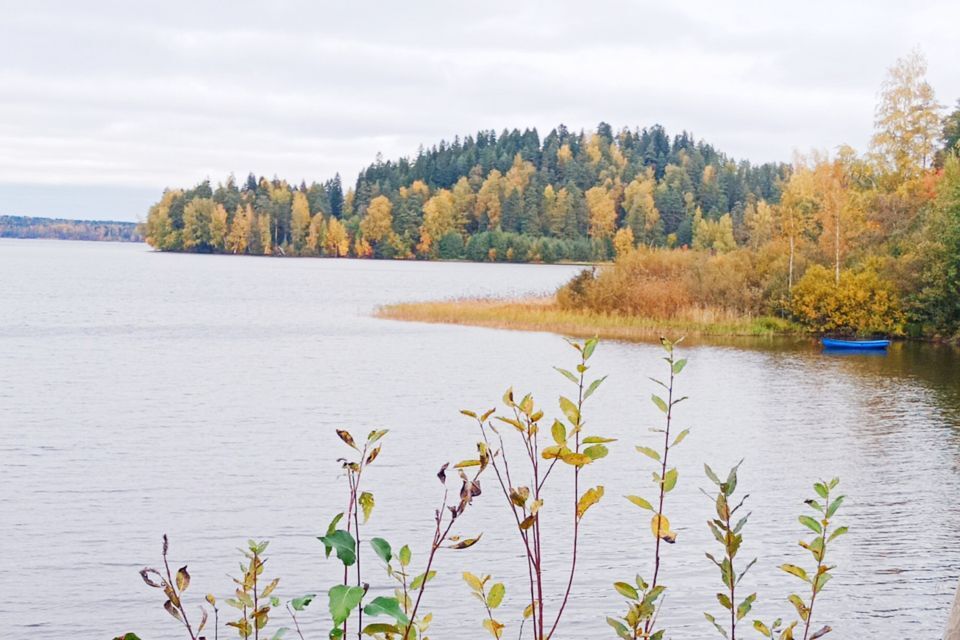 земля р-н Всеволожский городской пос. Токсово, Поперечная, 3 фото 1