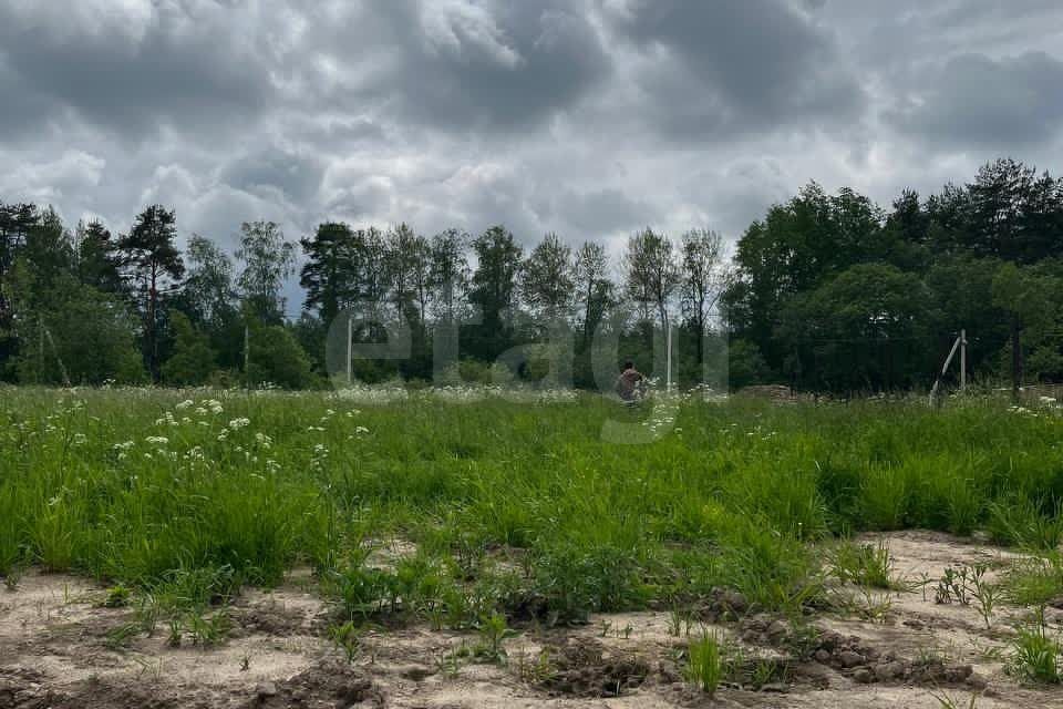 земля р-н Ломоносовский Усадьба в Петергофе, Се<текст-удален>ольская улица, 21 фото 2