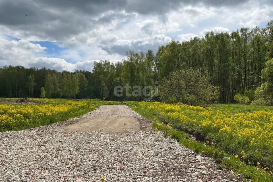 земля городской округ Раменский с Юсупово Коттеджный посёлок Репино, Домодедово городской округ фото 1