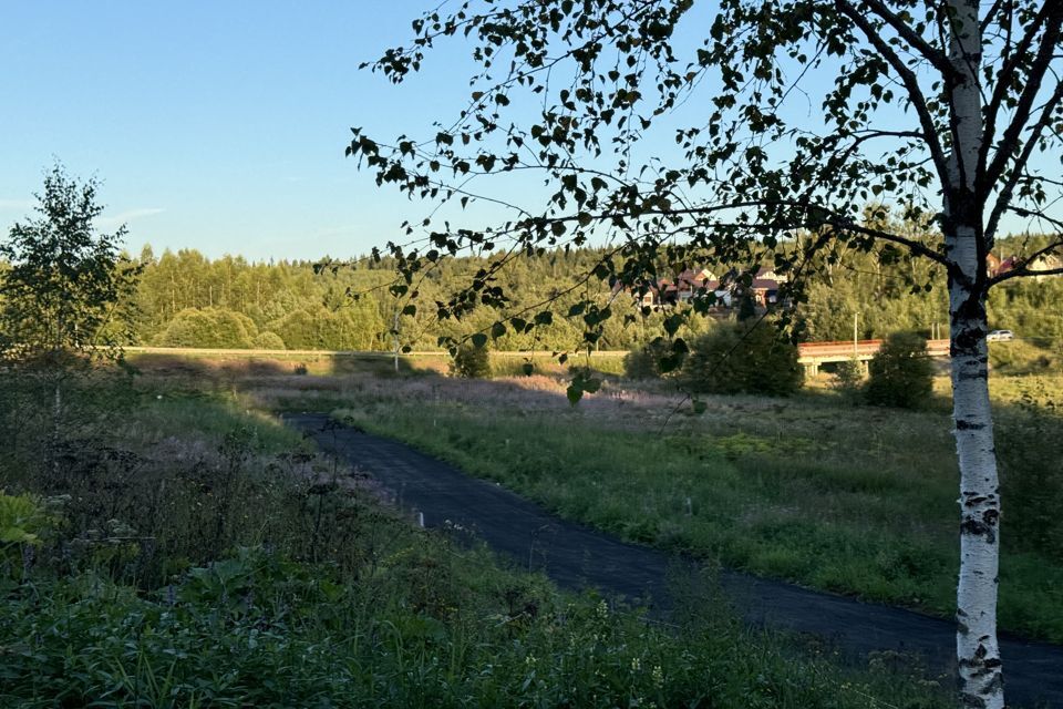 земля городской округ Дмитровский фото 5