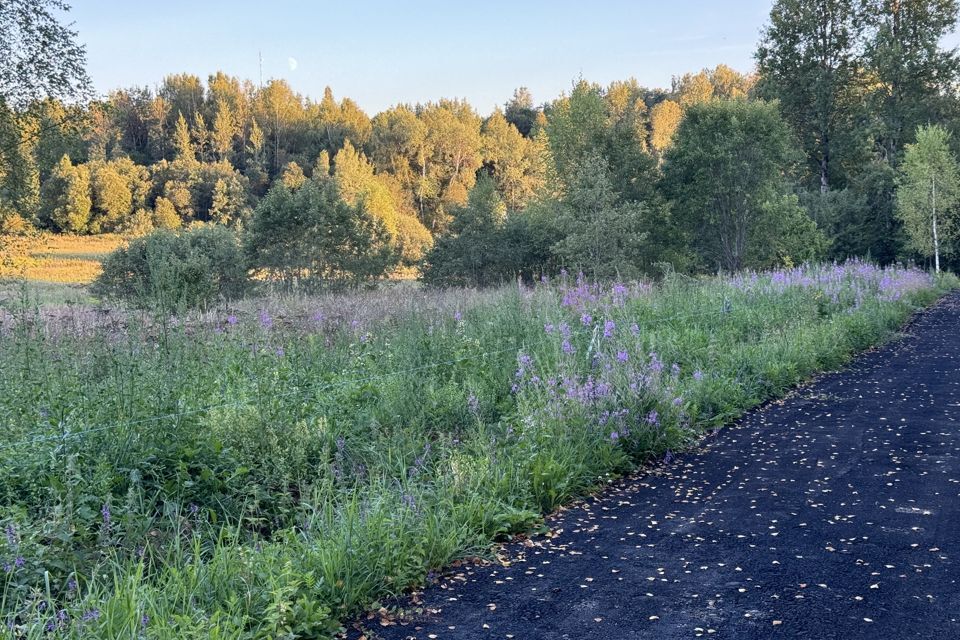 земля городской округ Дмитровский фото 9