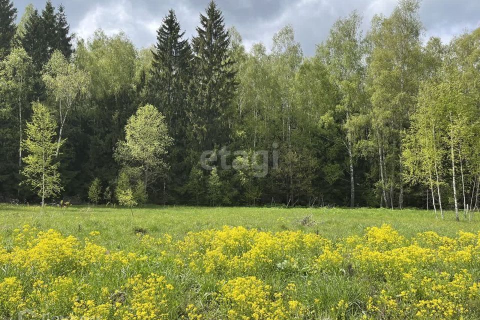 земля городской округ Раменский с Юсупово Коттеджный посёлок Репино, Домодедово городской округ фото 6