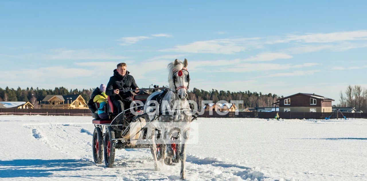 земля городской округ Ступино д Гридюкино фото 9