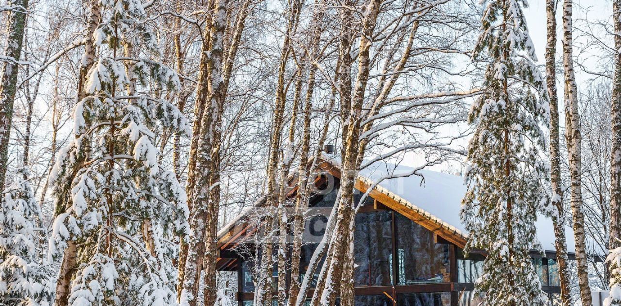 земля городской округ Ступино с Семёновское ул Школьная Михнево фото 17