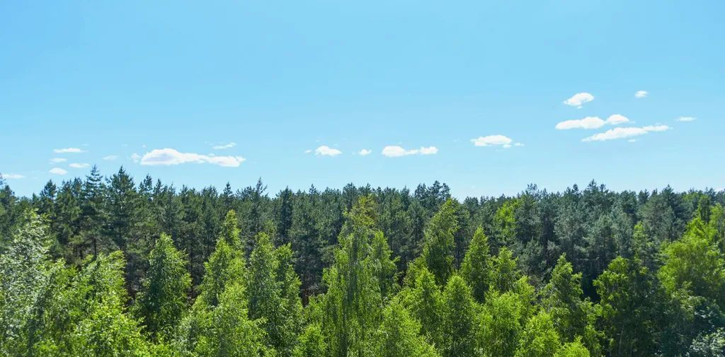 квартира р-н Конаковский п Энергетик 4 фото 11