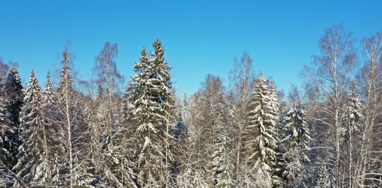 земля городской округ Рузский Мамошино Ком дп фото 10