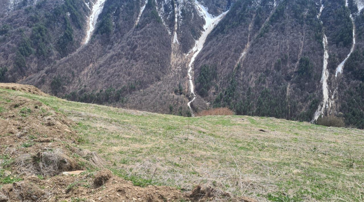 земля р-н Алагирский с Верхний Цей фото 2