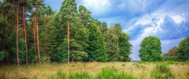 земля городской округ Одинцовский Горки-8 кп, Одинцово, 174 фото 1