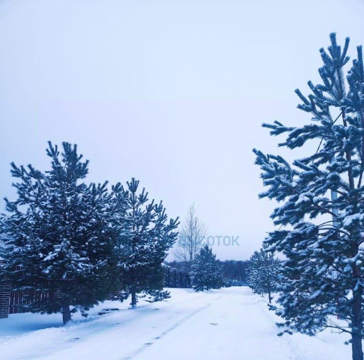 дом городской округ Чехов д Тюфанка Подольск, 123 фото 26