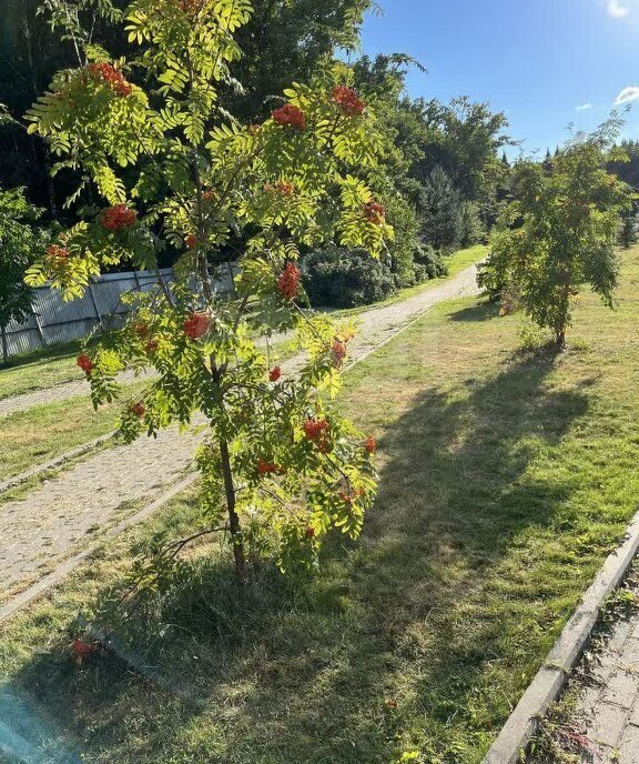 квартира г Химки мкр Новогорск ул Ивановская 1 Новоподрезково фото 22