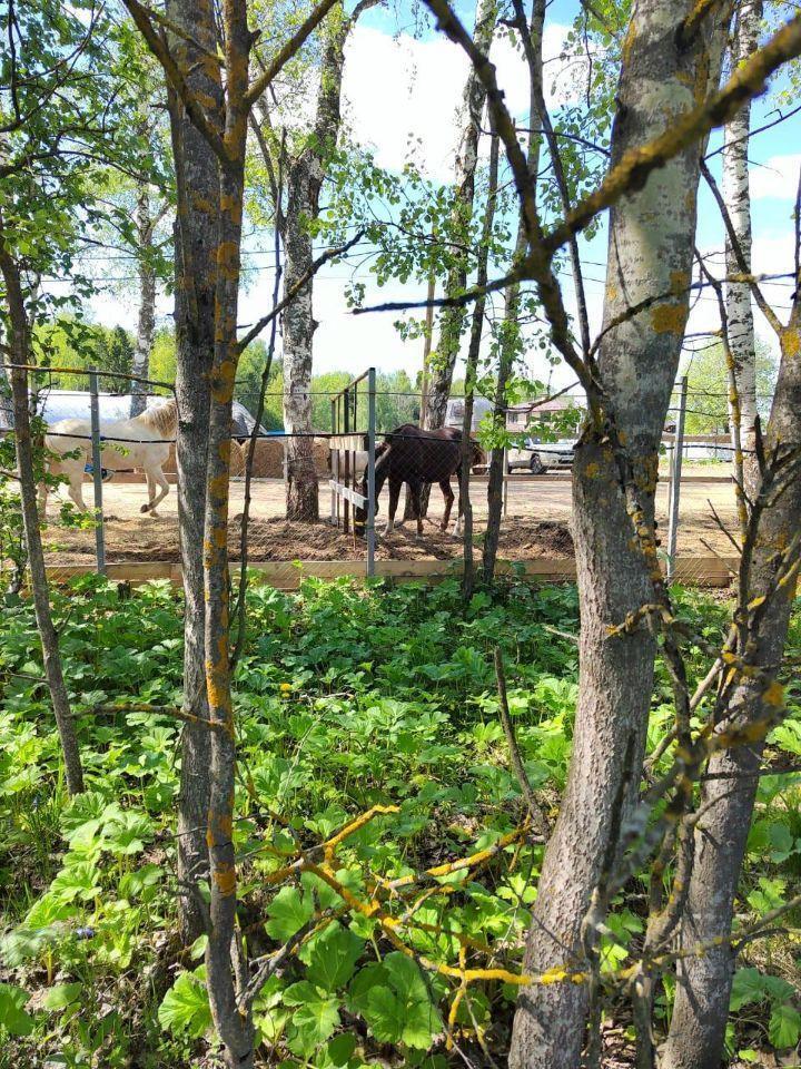 дом городской округ Пушкинский п Софрино ул Центральная фото 25