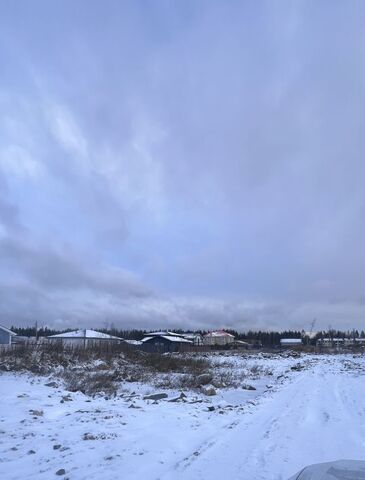 Древлянка ул. Лучезарная фото