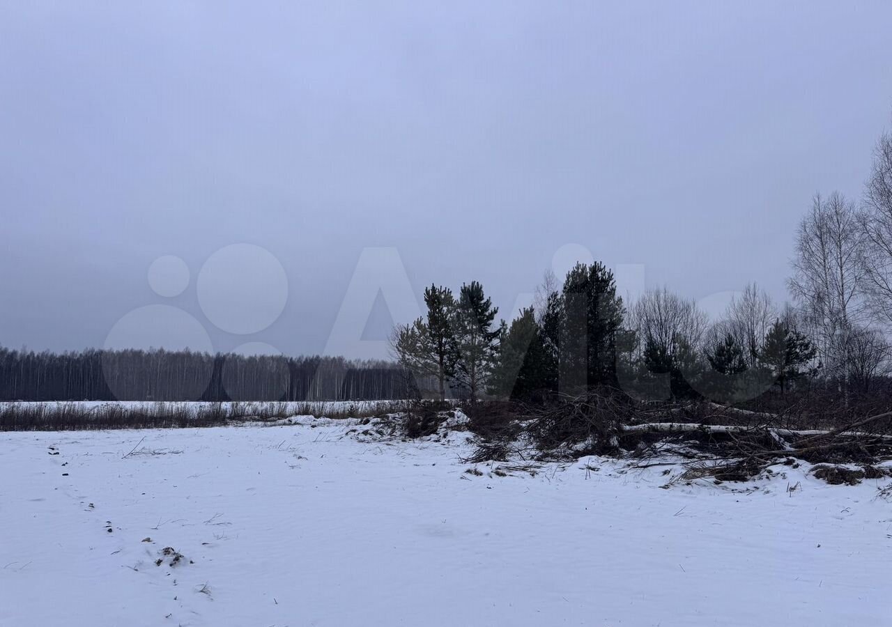 земля р-н Городецкий д. Максимовское, Нижний Новгород фото 3