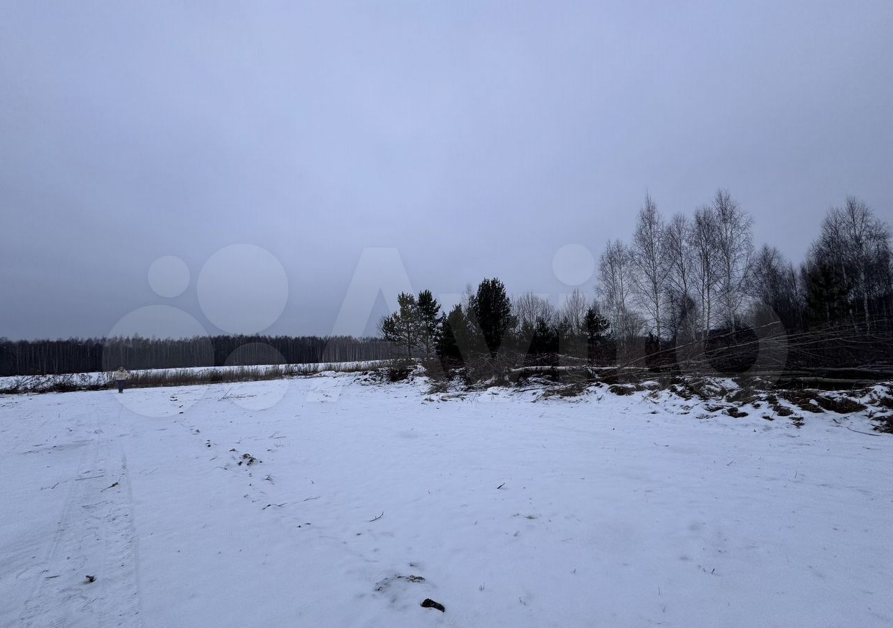 земля р-н Городецкий д. Максимовское, Нижний Новгород фото 10