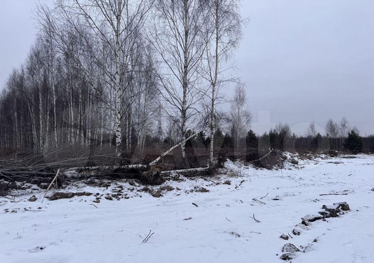 земля р-н Городецкий д. Максимовское, Нижний Новгород фото 9