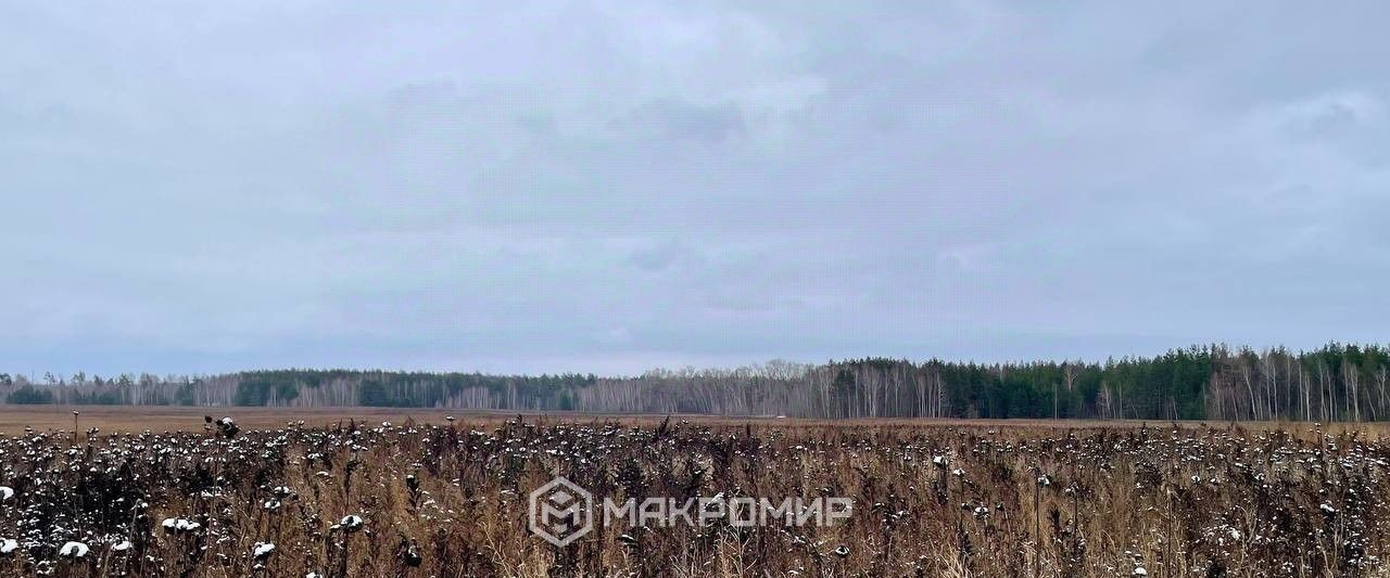 земля р-н Лаишевский с Габишево Габишевское сельское поселение фото 12