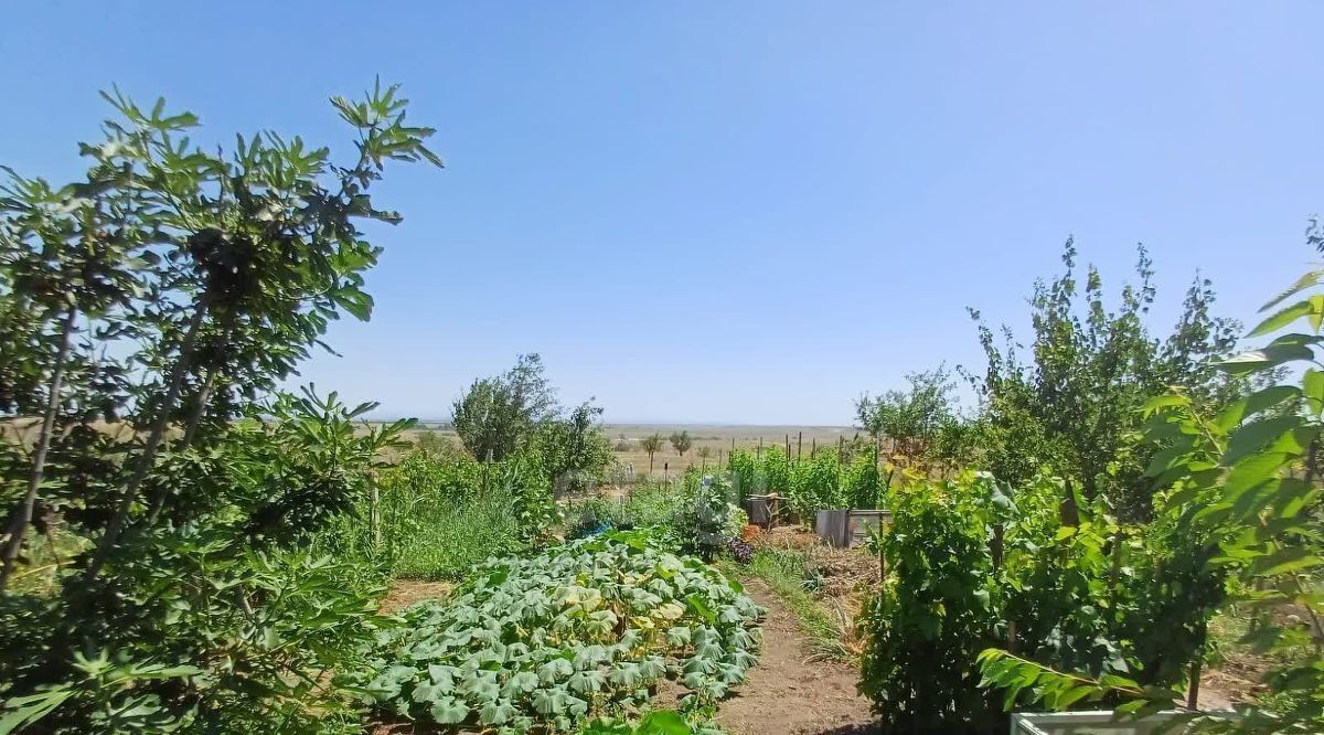 земля р-н Симферопольский Родниковское с/пос, Содружество СНТ, 2/2 фото 10