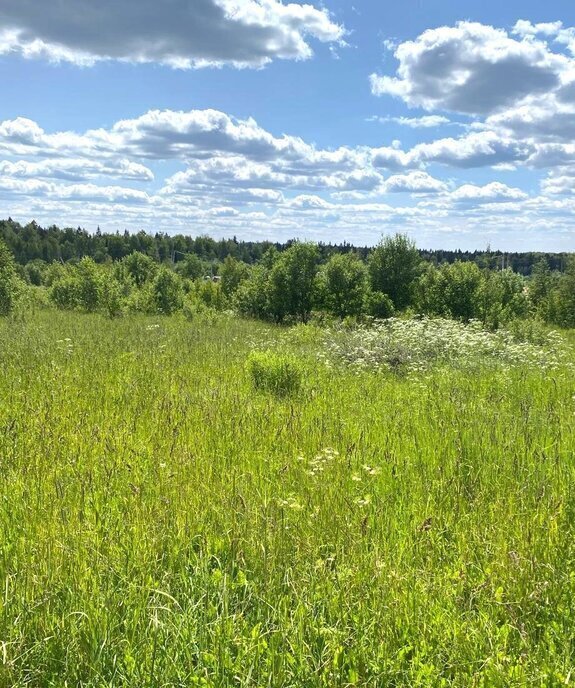 земля городской округ Дмитровский коттеджный посёлок Морозовский Уезд фото 2