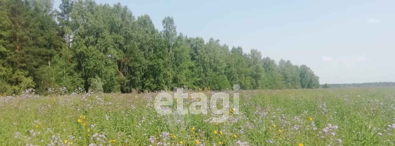 земля р-н Пригородный с Николо-Павловское фото 19