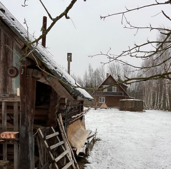 дом р-н Невельский д Чижевщина фото 29