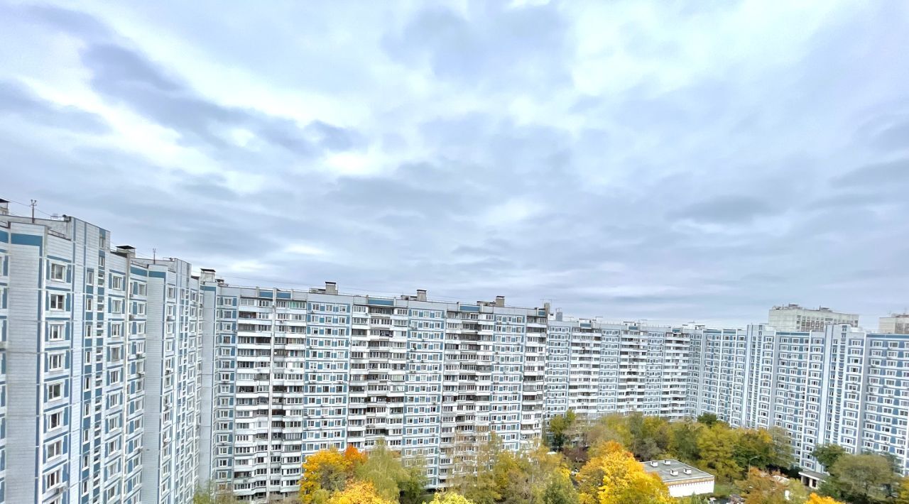 квартира г Москва метро Орехово ул Маршала Захарова 12к/3 муниципальный округ Орехово-Борисово Северное фото 44