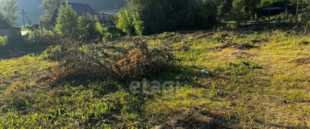 дом р-н Майминский с Манжерок ул Дружбы Манжерокское сельское поселение фото 5