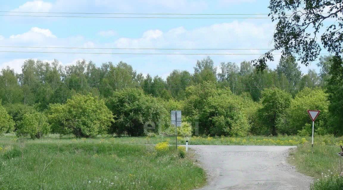 земля р-н Новосибирский Березовский сельсовет, Аист СНТ фото 2