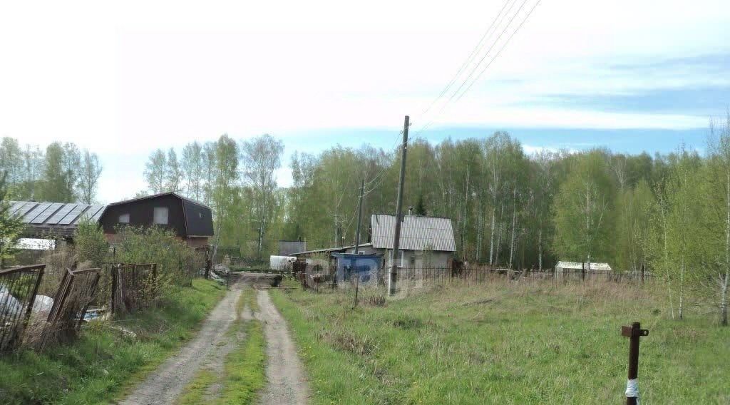 земля р-н Новосибирский Березовский сельсовет, Аист СНТ фото 5