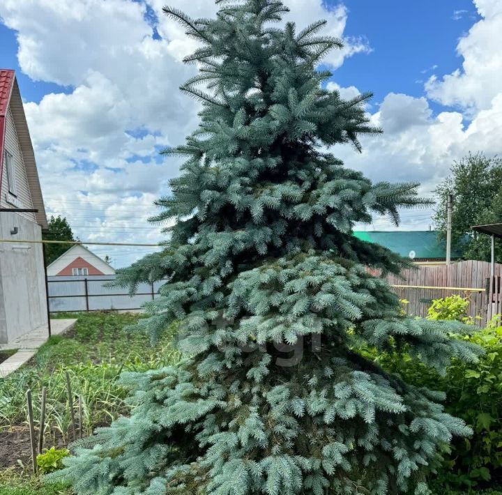 дом р-н Коченевский рп Коченево ул Пушкина 7 городское поселение Коченёво фото 32